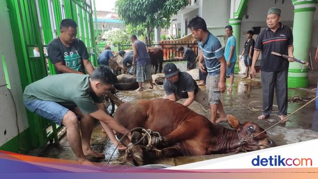 Apa Itu Hari Raya Kurban? Ini Arti dan Maknanya