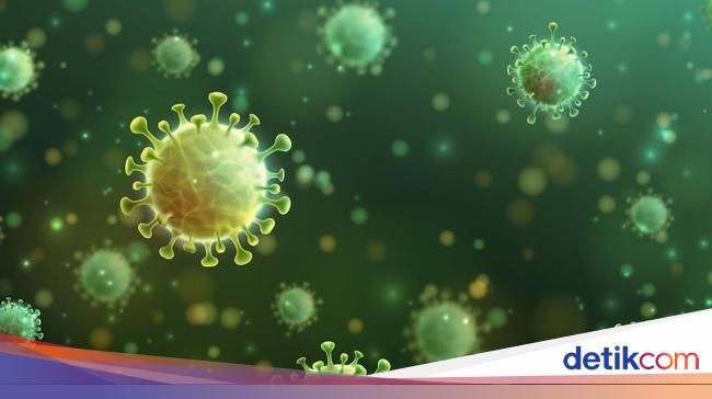 Hari Zoonosis Sedunia: Apa Itu dan Mengapa Diperingati 6 Juli?