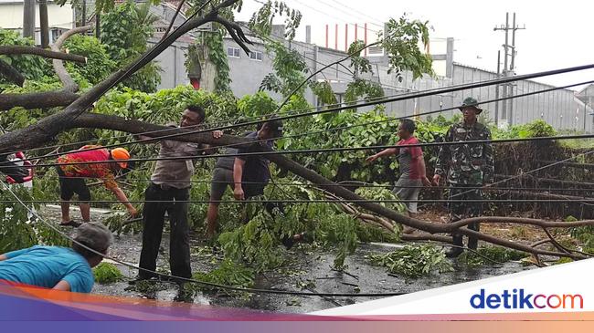 Pohon Tumbang Timpa Mobil Kabel Listrik Saat Banyuwangi Dilanda Hujan Angin 7807