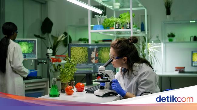 Bioteknologi Masa Depan: Prospek Cemerlang dan Tantangan yang Menghadang