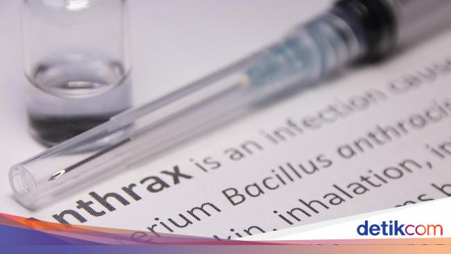 Antraks: Gejala, Penyebab, dan Pengobatan