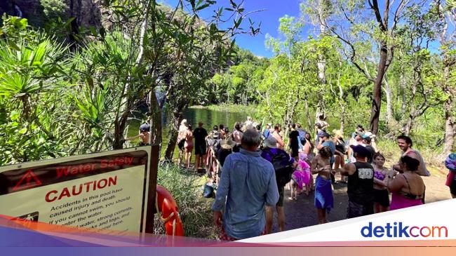 Tourist Horrified by Crocodile Attack in Litchfield National Park, Australia