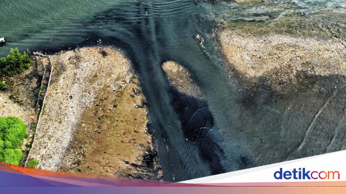 Viral 'Pulau Sampah' di Pesisir Jakut, Tim Gabungan Korve Bersihkan