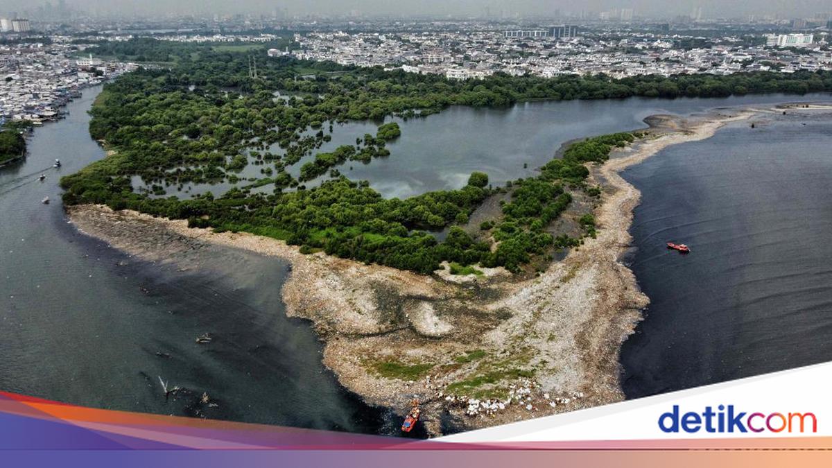 'Pulau Sampah' Muara Angke Hampir Bersih, Pemprov DKI Bakal Inspeksi Rutin