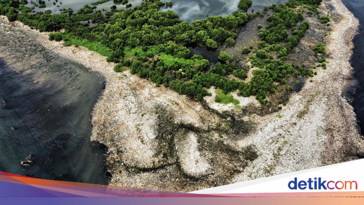 Ternyata Ini Penyebab 'Pulau Sampah' Muncul di Muara Angke Jakut
