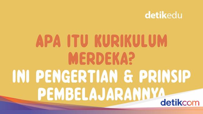 Infografis Apa Itu Kurikulum Merdeka Ini Pengertian Dan Prinsipnya