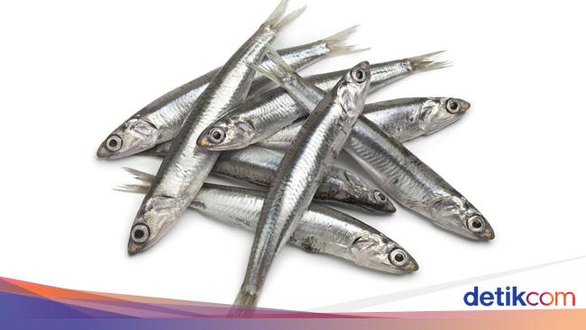 Studi Ungkap Sering Makan Ikan Teri Bisa Bikin Wanita Panjang Umur Studi Ungkap Sering Makan Ikan Teri Bisa Bikin Wanita Panjang Umur