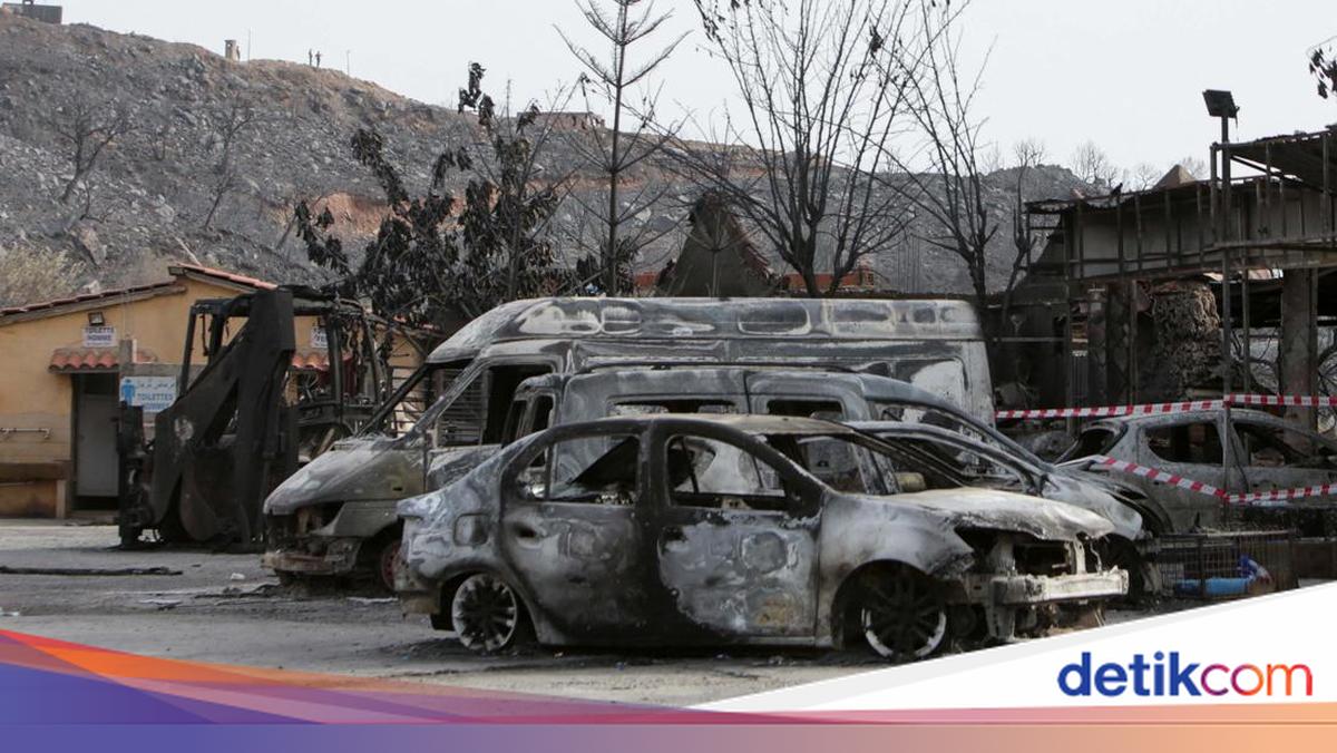 Ngeri! Mobil-mobil Ini Jadi Rongsokan Gegara Kebakaran Hutan