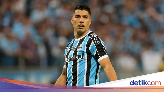 Porto Alegre: Luis Suarez to Stay with Gremio Until December, Confirms Club Manager