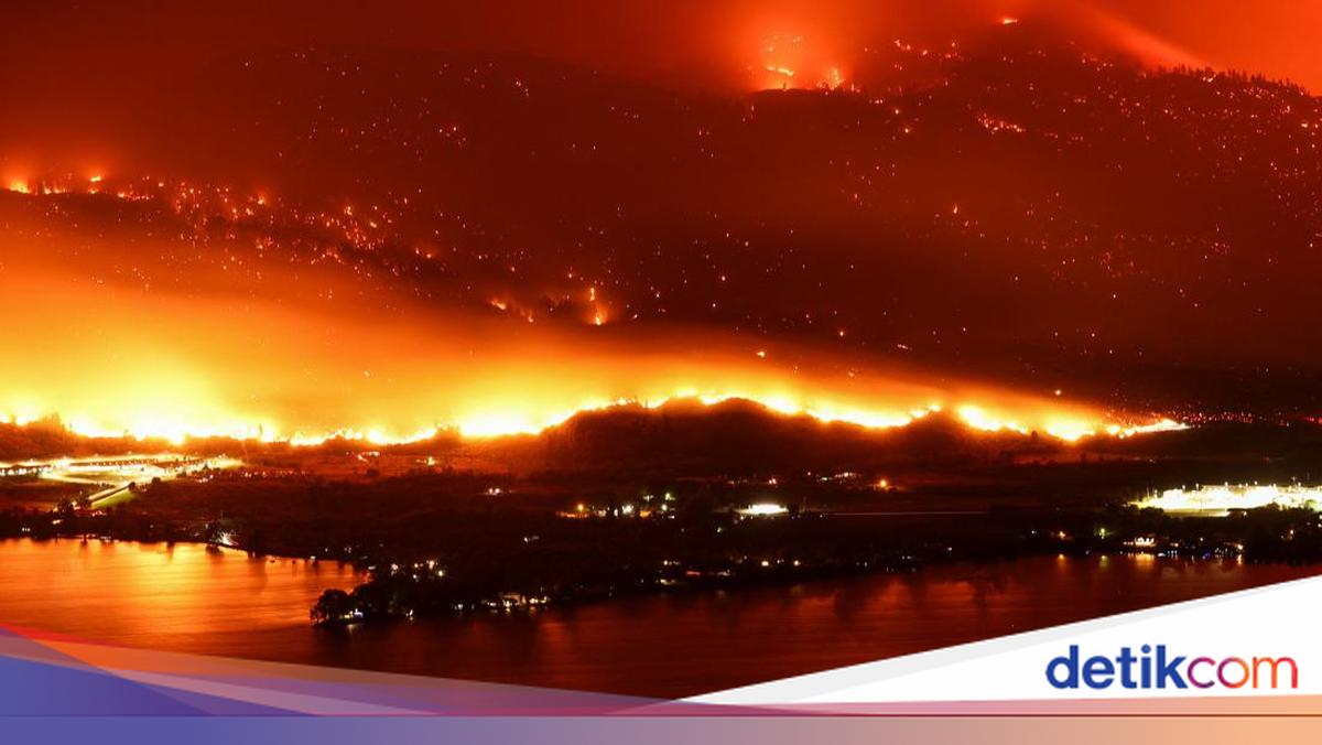 Api Mubara Penampakan Api Membara di Hutan Perbatasan AS-Kanada