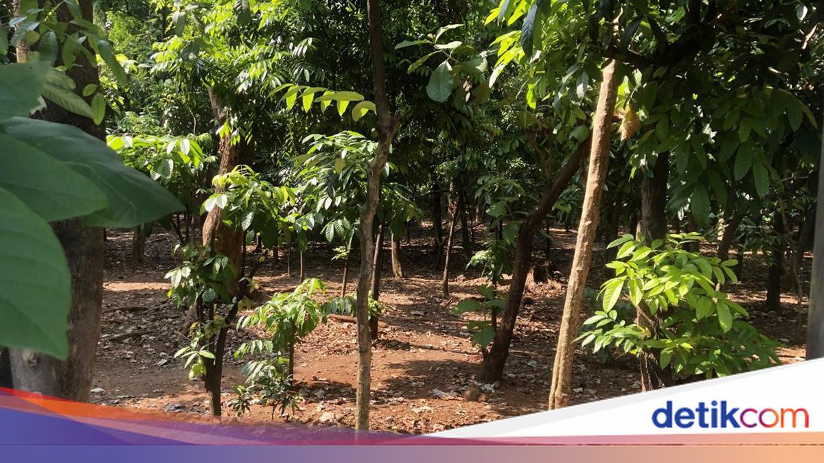 Diduga Ada Prostitusi Sesama Jenis di Taman Kota Cawang, Pemkot Temukan Kondom