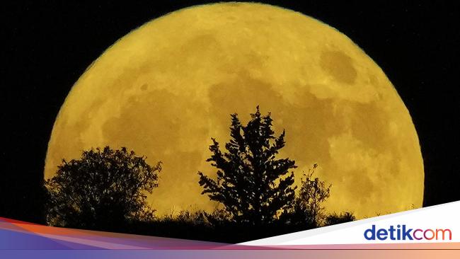 Jadwal Fenomena Full Moon dari Januari-Desember 2025, Kapan Saja?