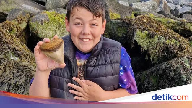 13-Year-Old Boy Finds Rare Megalodon Shark Tooth on Beach in England