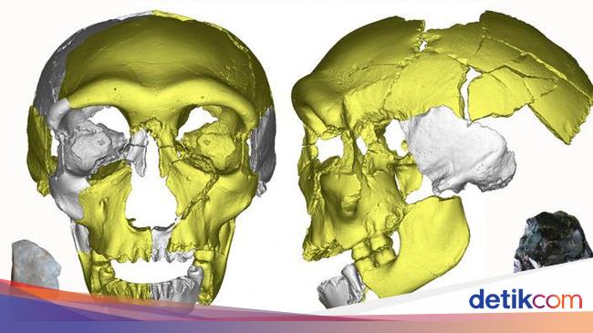 Scientists Discover New Human Species Without Chin – Fossil Findings in China