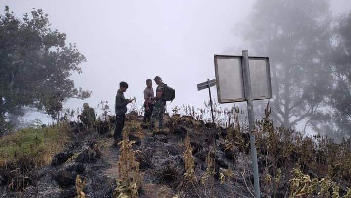 205 Hektare Lahan Di Gunung Rinjani Hangus Terbakar, TNGR Pastikan Api ...