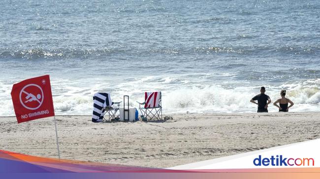 Emak-emak Digigit Hiu hingga Kritis