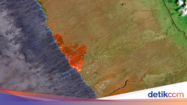 Potret Api yang Merambat Hutan di Hawaii Kian Meluas