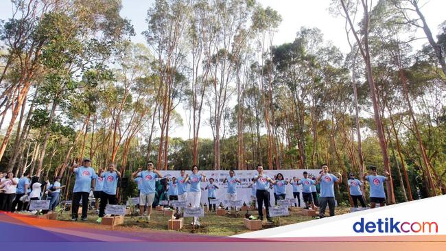 Aktivis lingkungan mengkritik pengelolaan hutan di Pasangkayu
