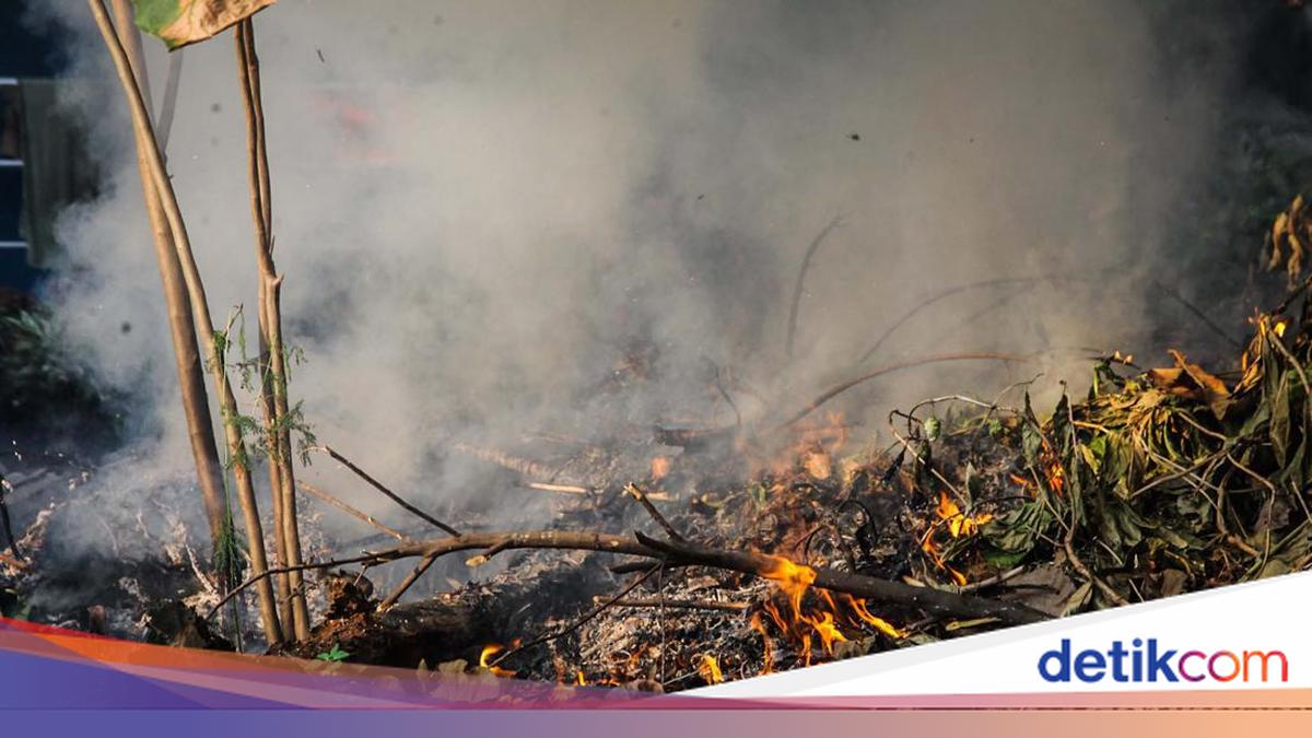 DLH DKI Kaji Sanksi Sosial bagi Warga yang Bakar Sampah Sembarangan