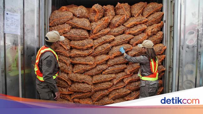 Ekspor Pertanian Capai Rp 552,4 T Jadi Andalan Perekonomian Nasional