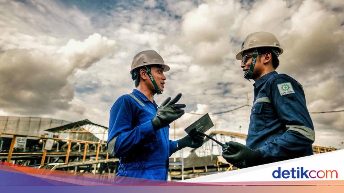 KINERJA BUMN MEROKET! Batu Bara & Mineral Lenten Bawa Cuan Gede di 2025