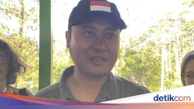Otorita IKN Siapkan 1.000 Hektare Lahan Bangun Suaka Orangutan-Satwan ...
