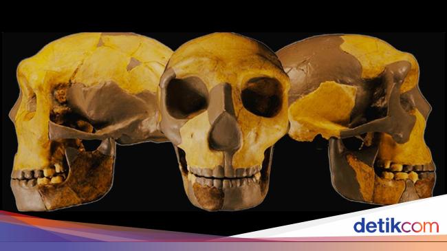 Scientists Discover Ancient Alien-like Skull in China: Unveiling a New Human Lineage