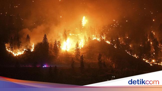 Forest Fire Ash Poses Invisible Threat to Human Health: Study