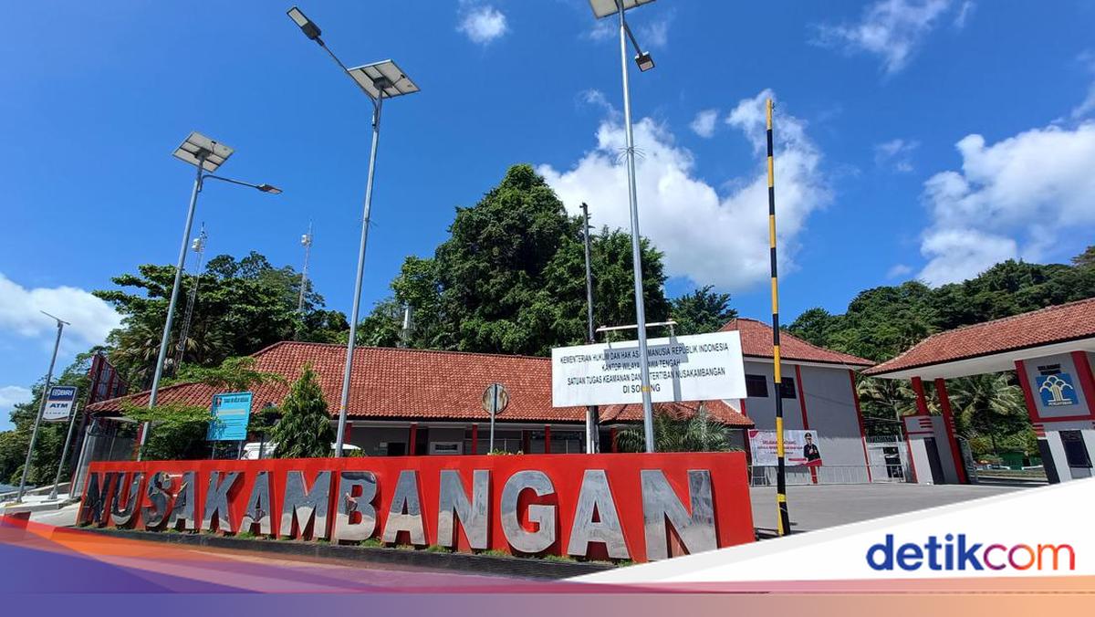 Ternak Ayam di Lapas Nusakambangan Penuhi Kebutuhan Telur 1 Pulau
