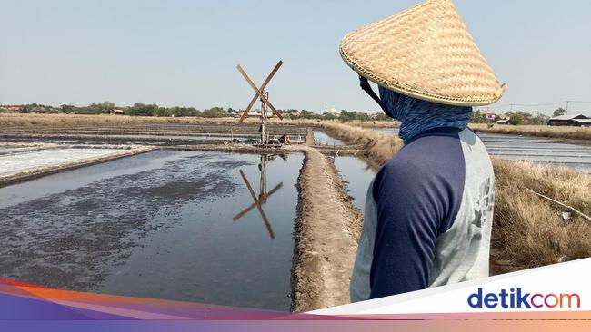 Melihat 'Kitiran' Jantungnya Produksi Garam di Indramayu