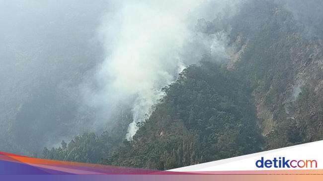 jalan provinsi yang ditutup akibat kebakaran hutan