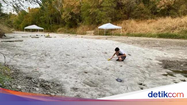 Dried Up River in Jakarta Reveals Dinosaur Tracks from Over a Century Ago