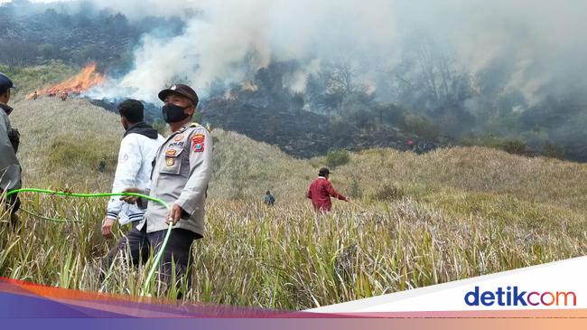 Polisi Olah TKP Lagi Usai Kebakaran Bromo gegara Flare Prewedding Padam