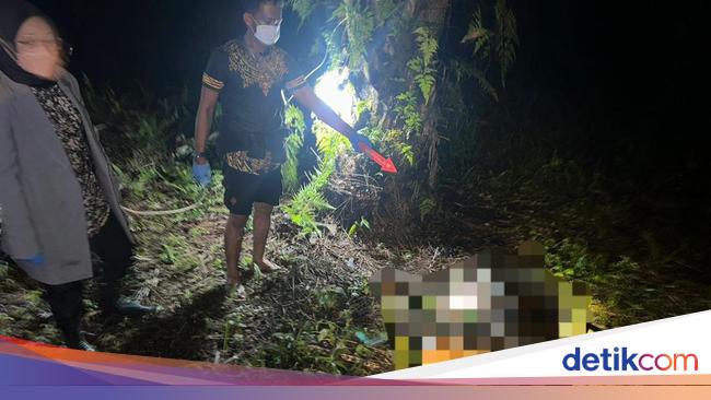 4 Hari Hilang Pria Asal Jakarta Ditemukan Tewas Membusuk Di Kebun Sawit 7926