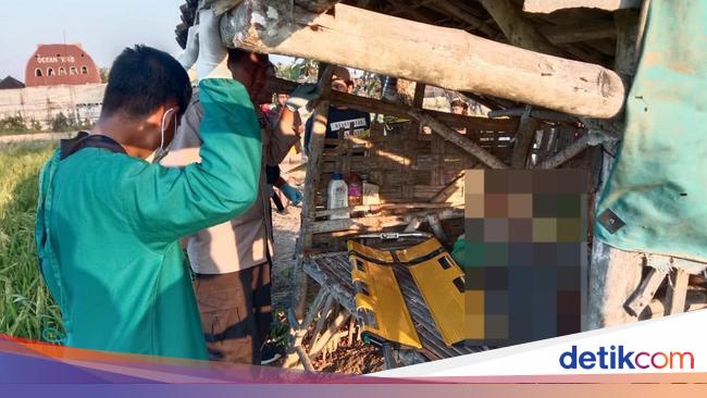 Geger Pria Ditemukan Tewas Bersimbah Darah Di Gubuk Persawahan Gresik