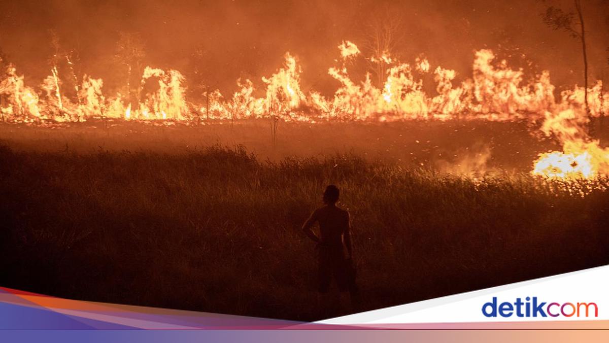 BMKG Deteksi Ribuan Hotspot di RI, Ada Wilayahmu?