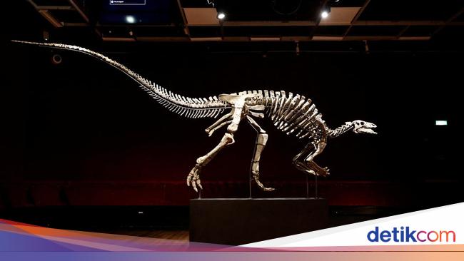 Scientist: Dinosaurs Are the ‘Cause’ Humans Can’t Live Long