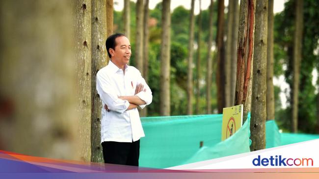 Jokowi Reveals Order of Presidential Candidates and Political Direction