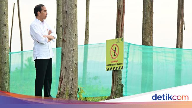 President Jokowi’s Working Visit to the National Capital Region of the Archipelago