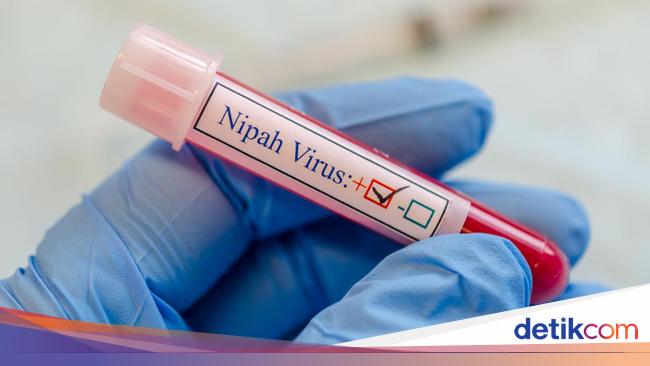 Oxford Researchers Develop Nipah Virus Vaccine with 75% Mortality Rate