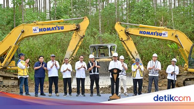 Jokowi Mau Setiap Bulan Ada Groundbreaking Di Ikn Singgung Taman Safari