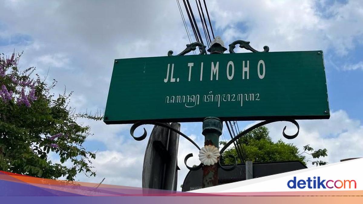 Pohon Timoho: Nama Jalan di Jogja hingga Anggapan Daya Magis Mengikat Orang