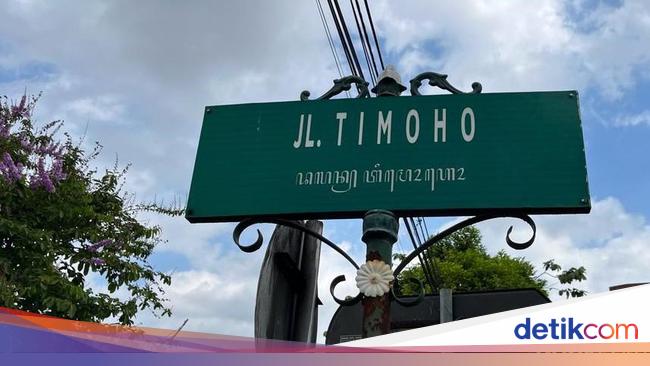 Timoho Pohon Timoho: Nama Jalan di Jogja hingga Anggapan Daya Magis Mengikat Orang