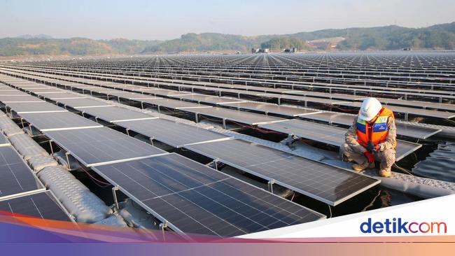 Raksasa Energi Abu Dhabi Mau Bikin Kebun Matahari di IKN