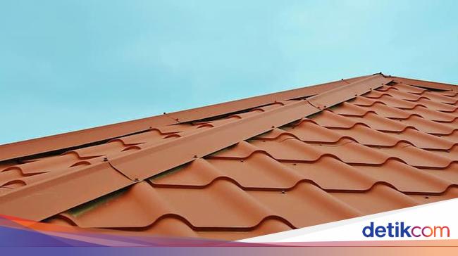 Atap Go Green: Pengertian dan Kelebihan