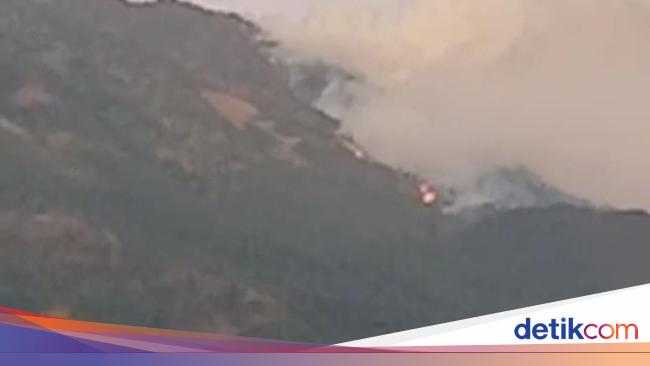 Hutan Gunung Lawu di Ngawi Kembali Terbakar