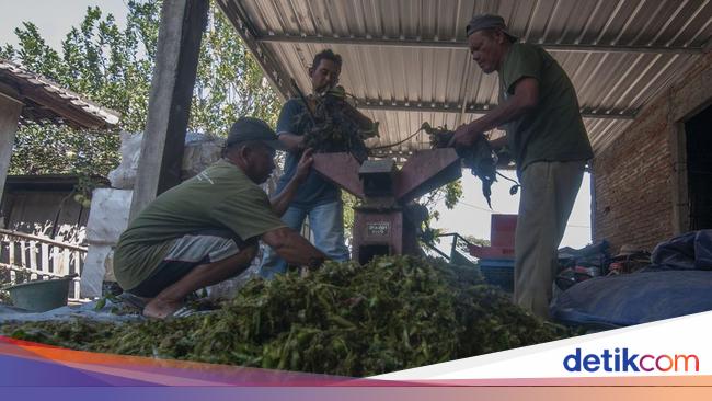 Warga Kecamatan Kandangan menggunakan biogas untuk memasak