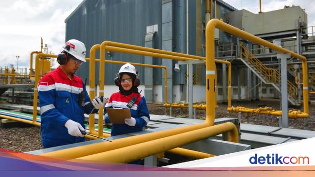 Pembangunan Jargas Jadi Cara buat Kurangi Subsidi Energi di RI