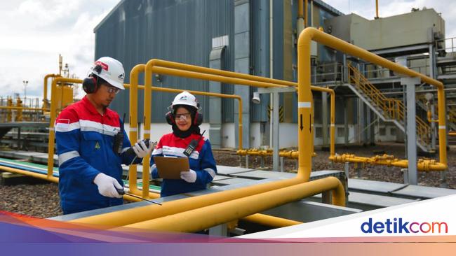Pembangunan Jargas Jadi Cara buat Kurangi Subsidi Energi di RI