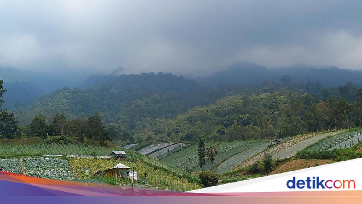 Viral Gunung Lawu Disebut Bakal Erupsi Besar, PVMBG: Hoax!
